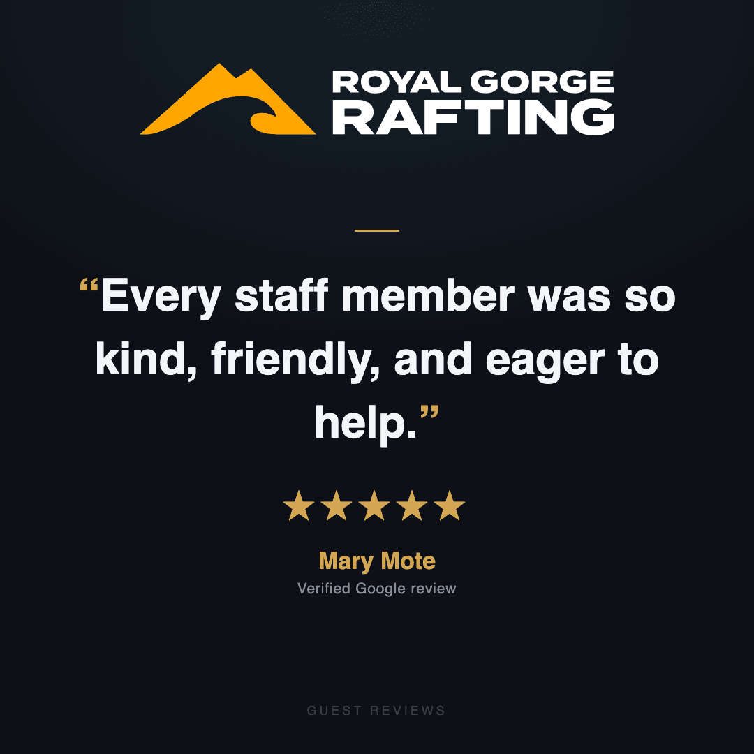 Guest review 8